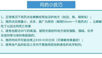 食品工廠如何徹底消滅蟑螂？專家分享實用方法與運營策略